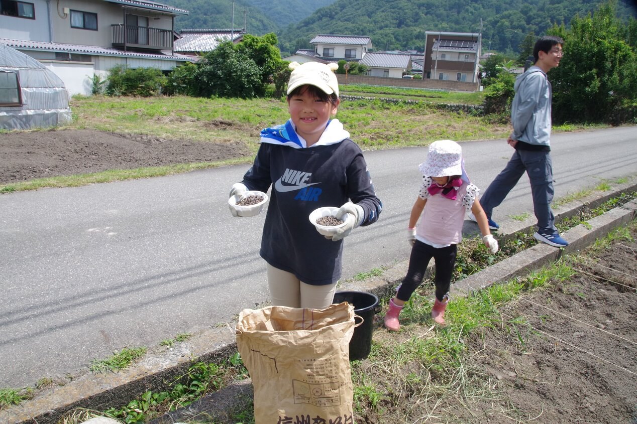 安曇野市で行われたそばの種まきの様子
