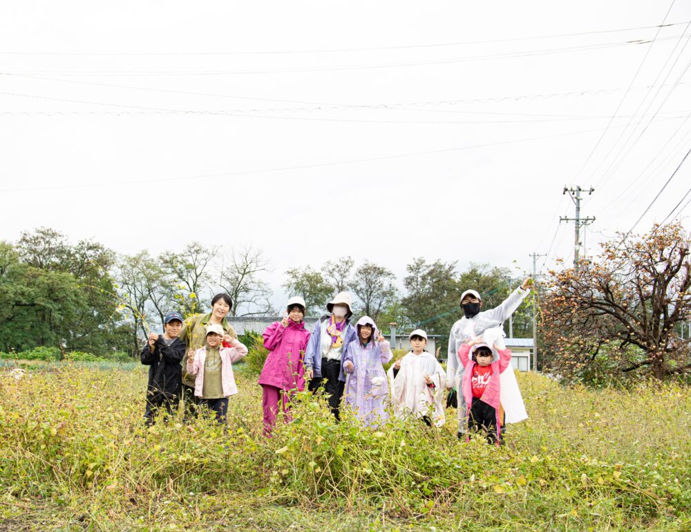 育みファーム第３弾（刈り取り）雨の為😂泣く泣く中止宣言